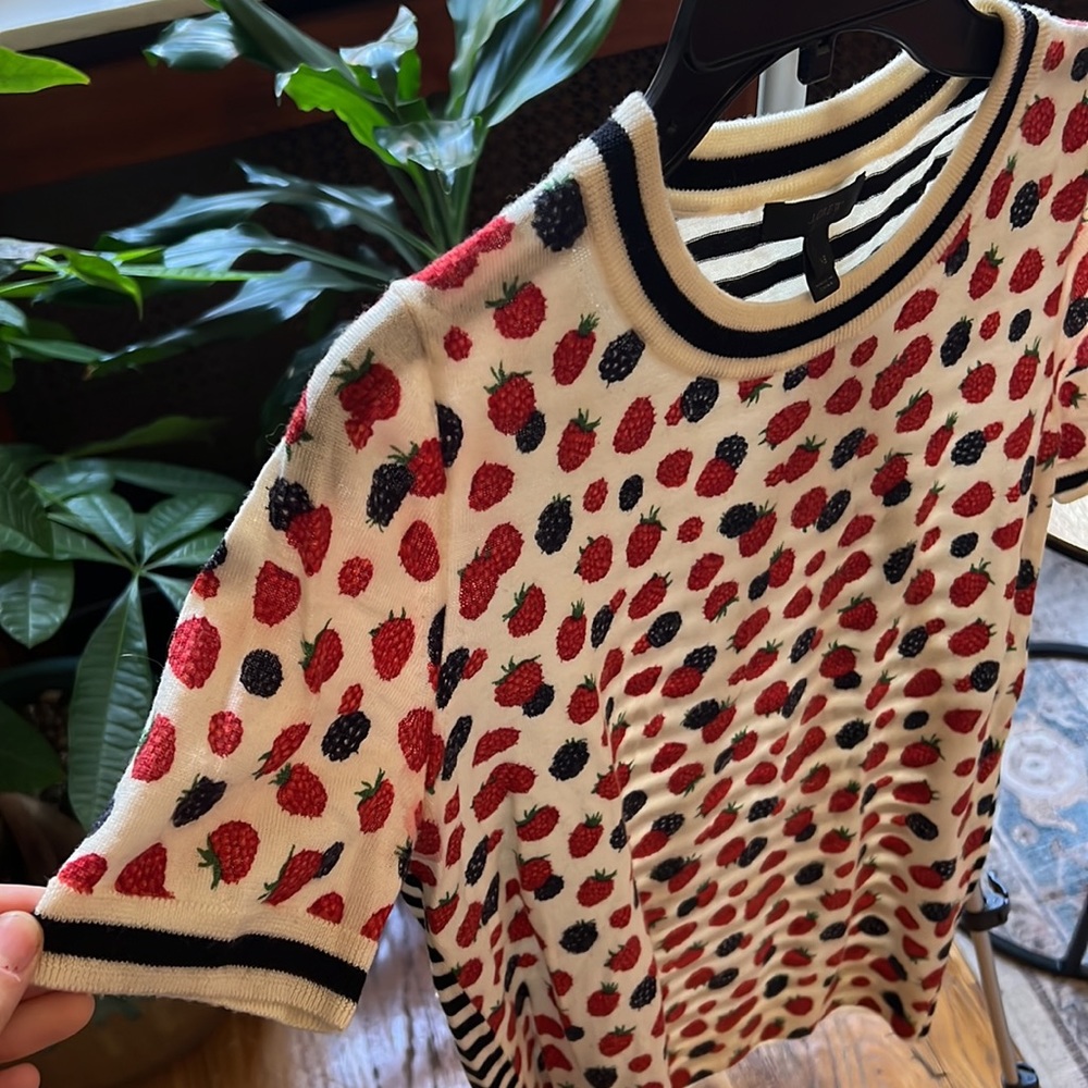 SET - Berry Print Skirt & Sweater - J.Crew